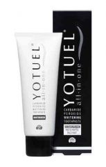 YOTUEL ALL-IN-ONE WINTERGREEN HAMMASTAHNA 75 ml